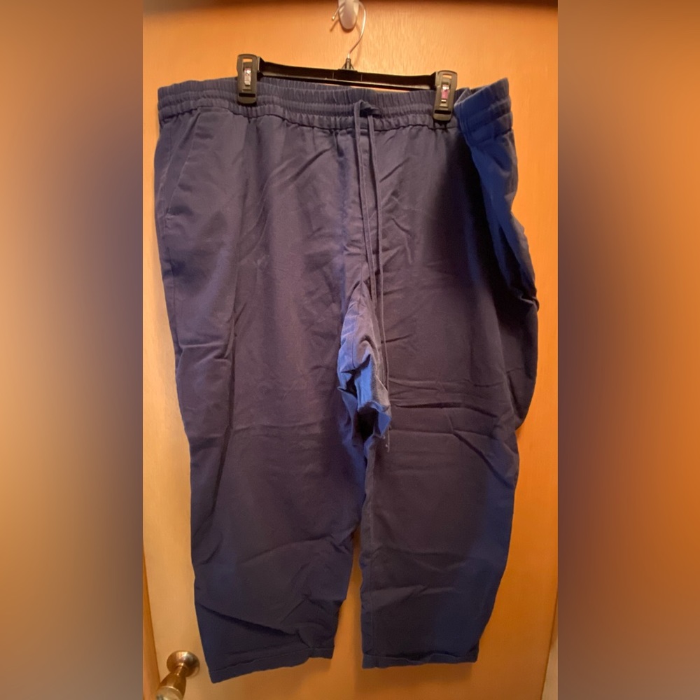J. Crew Factory linen-cotton blend drawstring pants women’s plus size 24